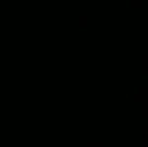 Meet your Posher, Jeniah